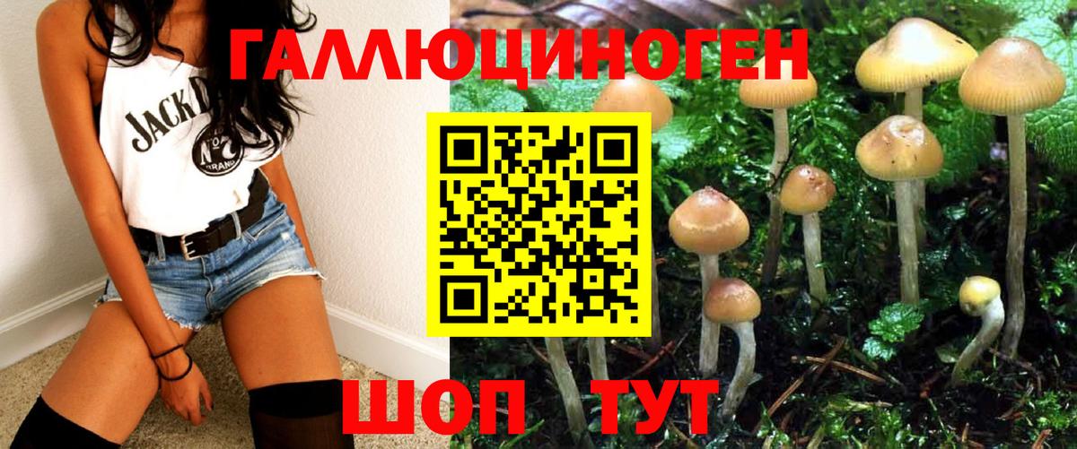 Галлюциногенные грибы GOLDEN TEACHER  Вход с VPN  Прохладный 