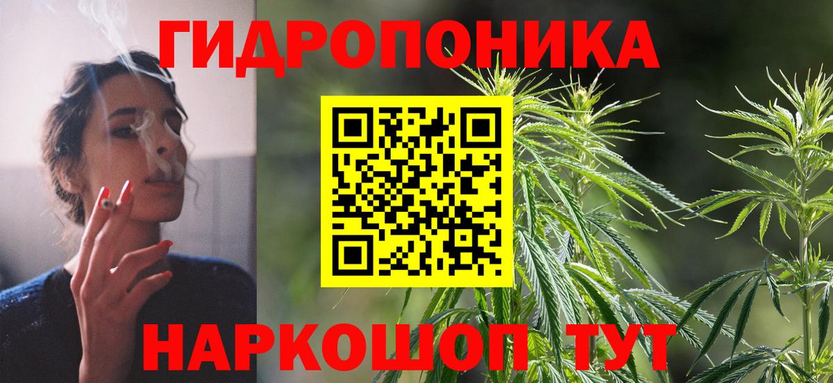 Шишки марихуана план  Конопля THC 21%  Бошки Шишки White Widow  Канабис семена  Вход с VPN  Прохладный 